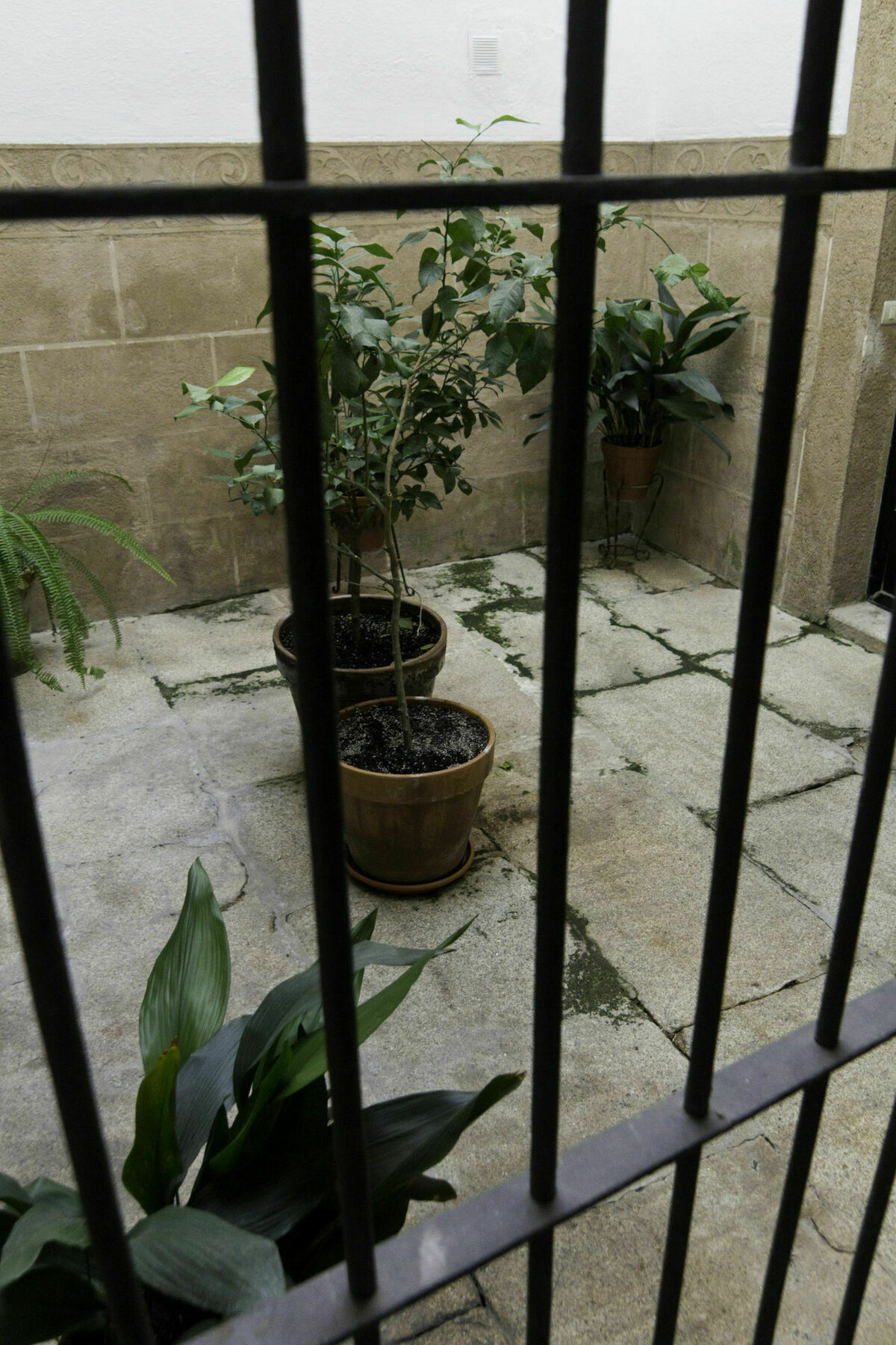 Casa Conde De Santa Olalla Caces Extérieur photo